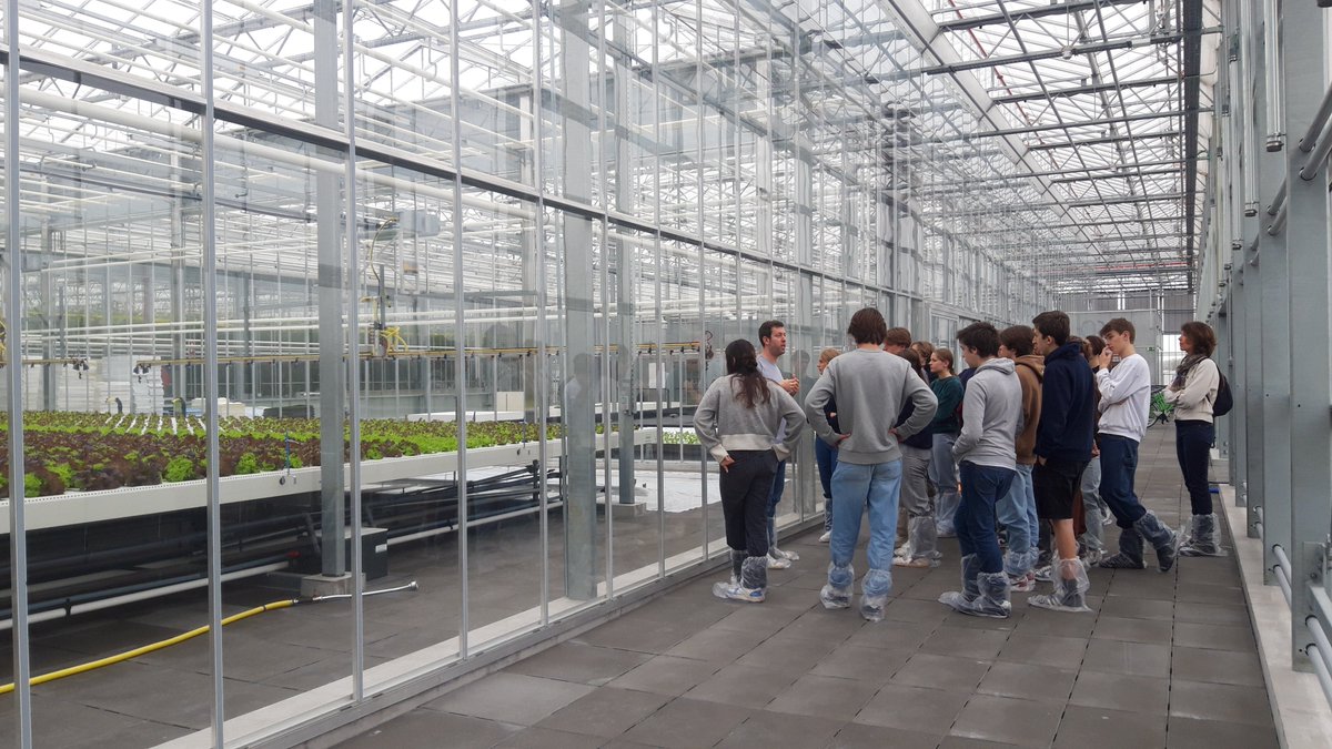 InAgrotopia tweet media