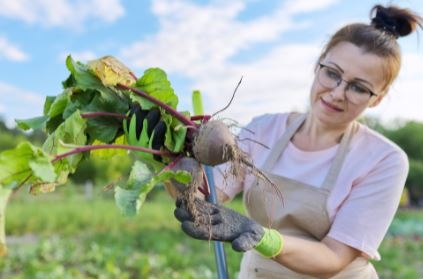 greengategarden's tweet photo. Grow-a-Row of veggies for the @CalgaryFoodBank!
THIS SATURDAY, May 6th, 9:30 AM to 11:30 AM.
Donate a nonperishable food item to The Calgary Food Bank in exchange for free seeds* from greengate.
*While supplies last.
https://t.co/9Jytak6E9y
#FeedYYC #CalgaryFoodBank #yycevents https://t.co/L4OQ33ZVDB