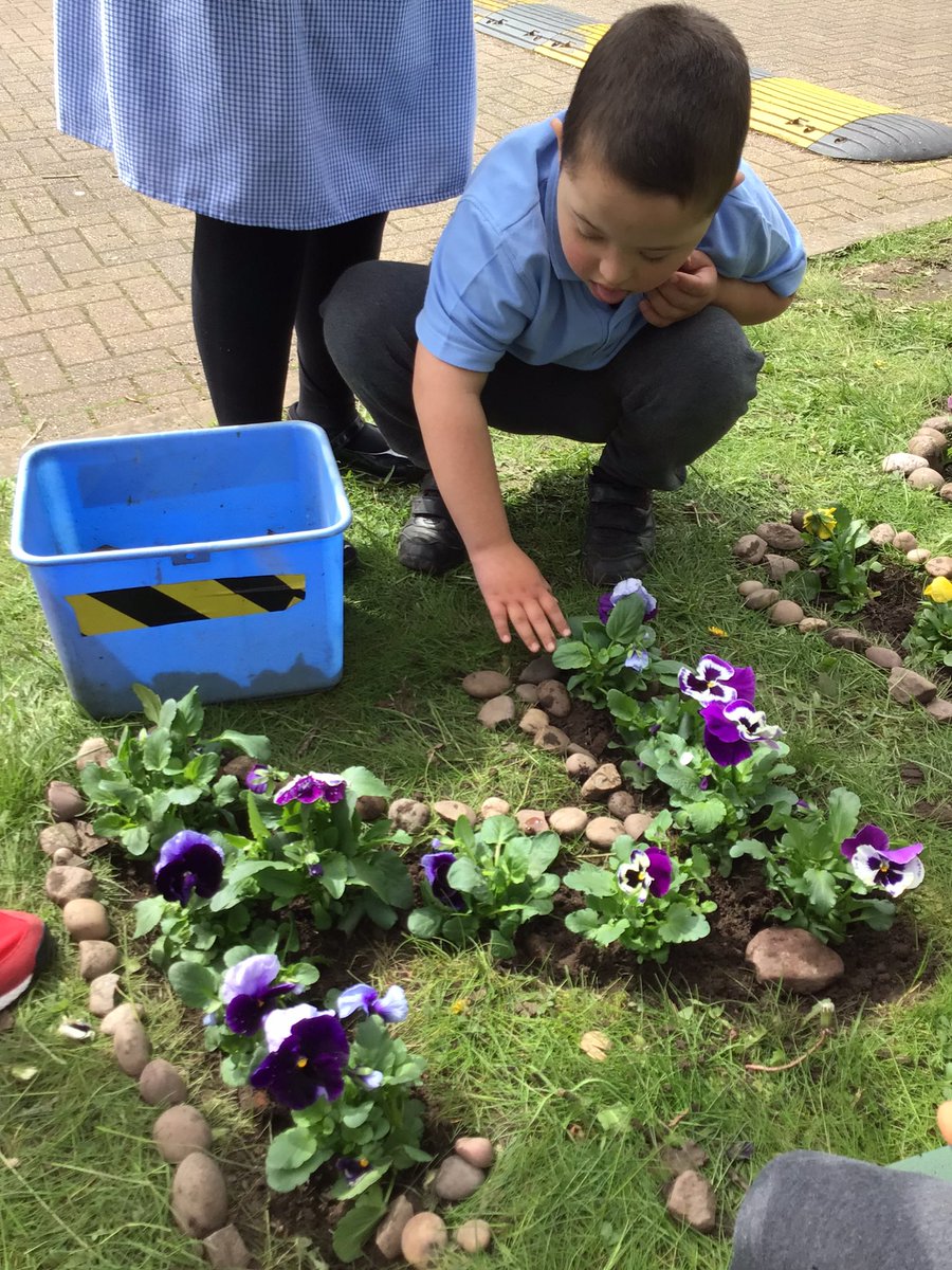 A busy mornings work for children across the school, creating our coronation flower patch🌺🌸💐🤴🇬🇧👑Well done everyone for working together so brilliantly