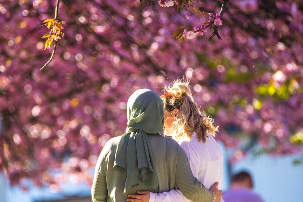 Der #Mai ist da und mit ihm kommt auch schönes Wetter! 🌞 Das zeigen auch die Kirschbäume, die in voller Blüte stehen. 🌸 Ein #Ausflug ist da schon fast Pflicht, beispielsweise zum #Gehölzgarten #HausRipshorst oder zum #Zauberlehrling. 🌲🌳🧙
#oberhausen #mehrerleben
📸 Köster