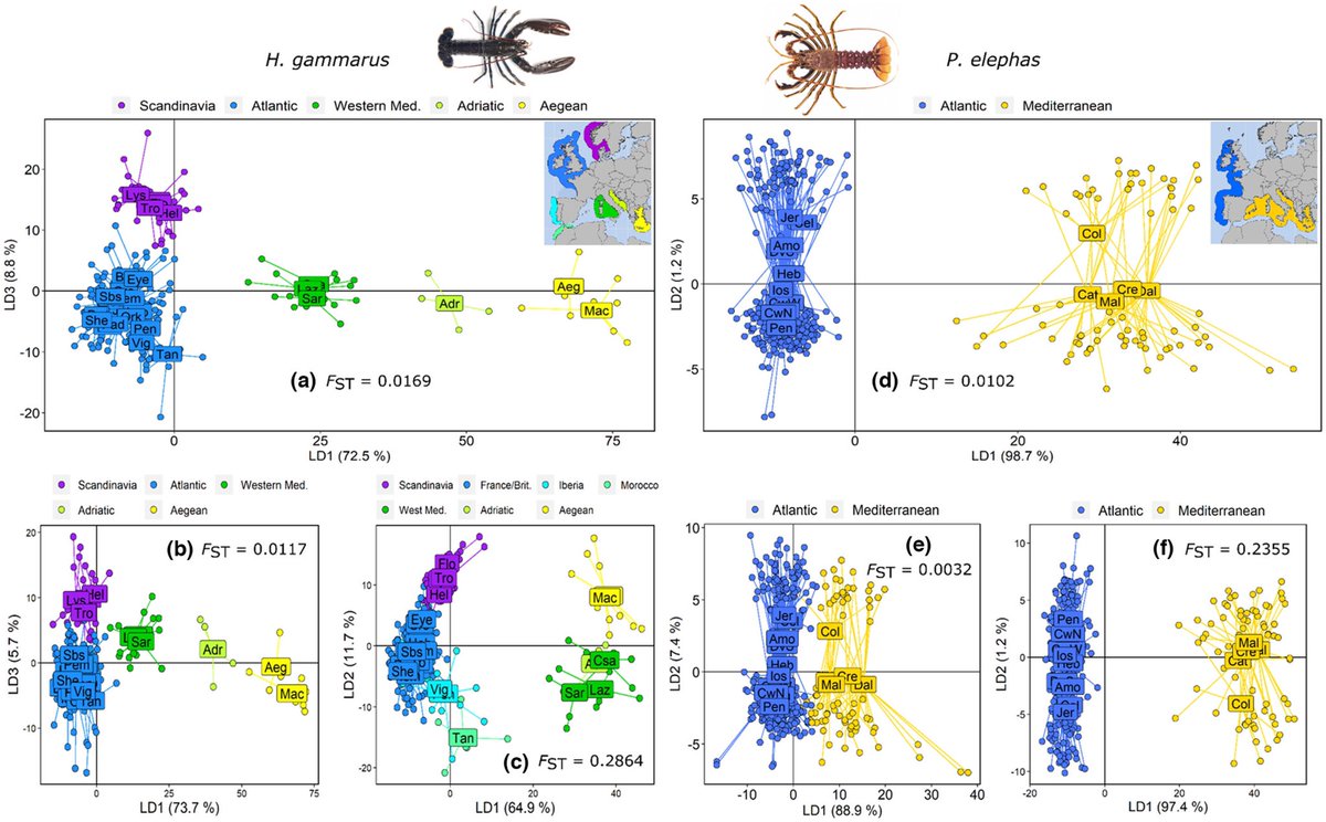 Charlie Ellis tweet media