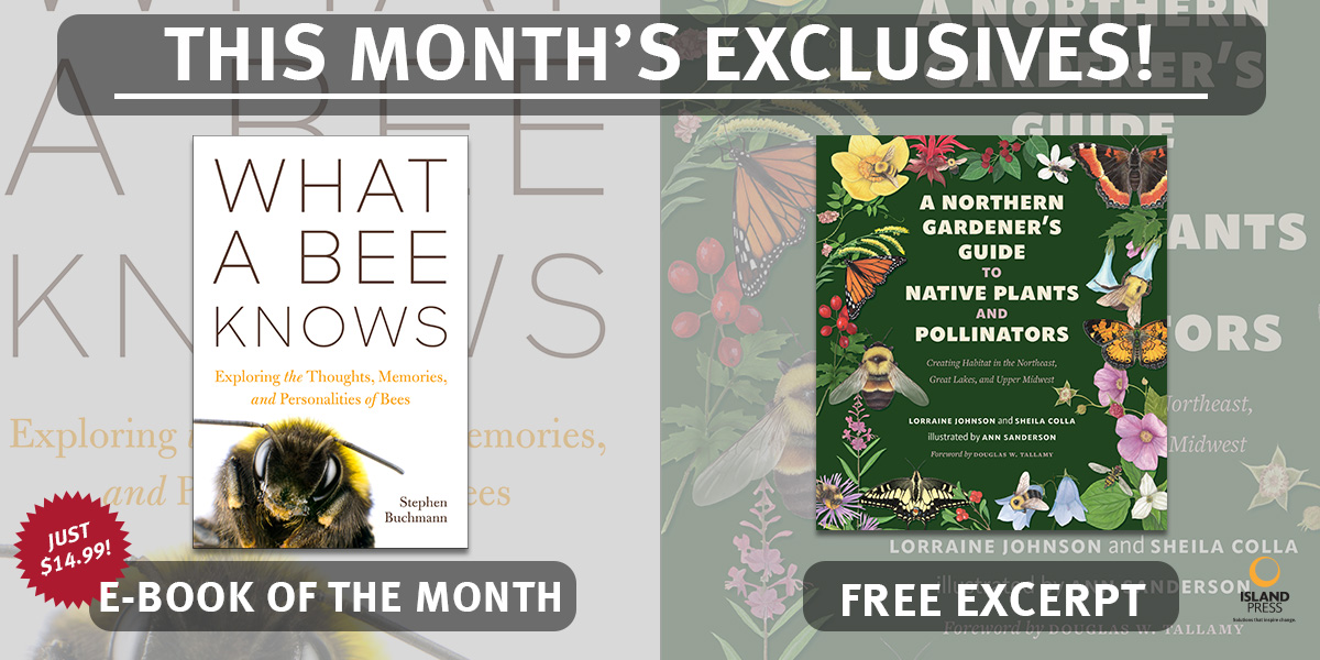 Don't miss this month's free excerpt of A NORTHERN GARDENER'S GUIDE TO NATIVE PLANTS AND POLLINATORS and discount price for the WHAT A BEE KNOWS e-book (just $14.99!) Visit islandpress.org for more details!