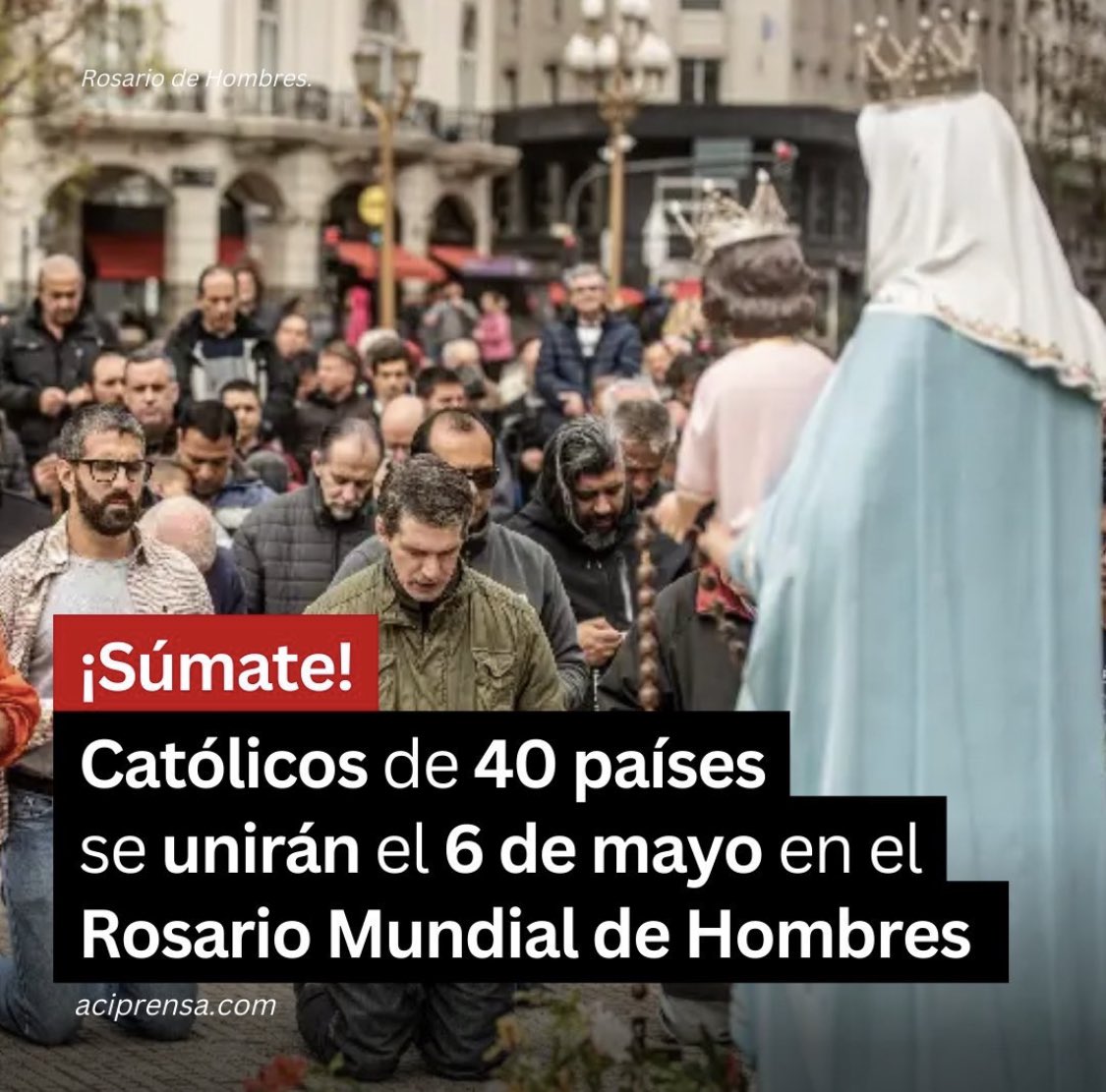 Fernando Casanova tweet media