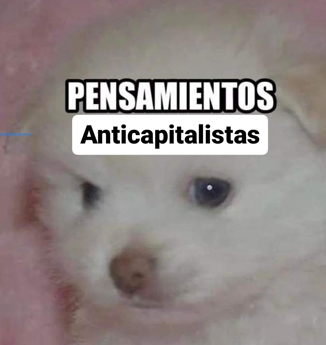 Aveljim's tweet photo. La vida tiene que ser algo más que juntar dinero para sobrevivir dios mío https://t.co/RlenDR67TV