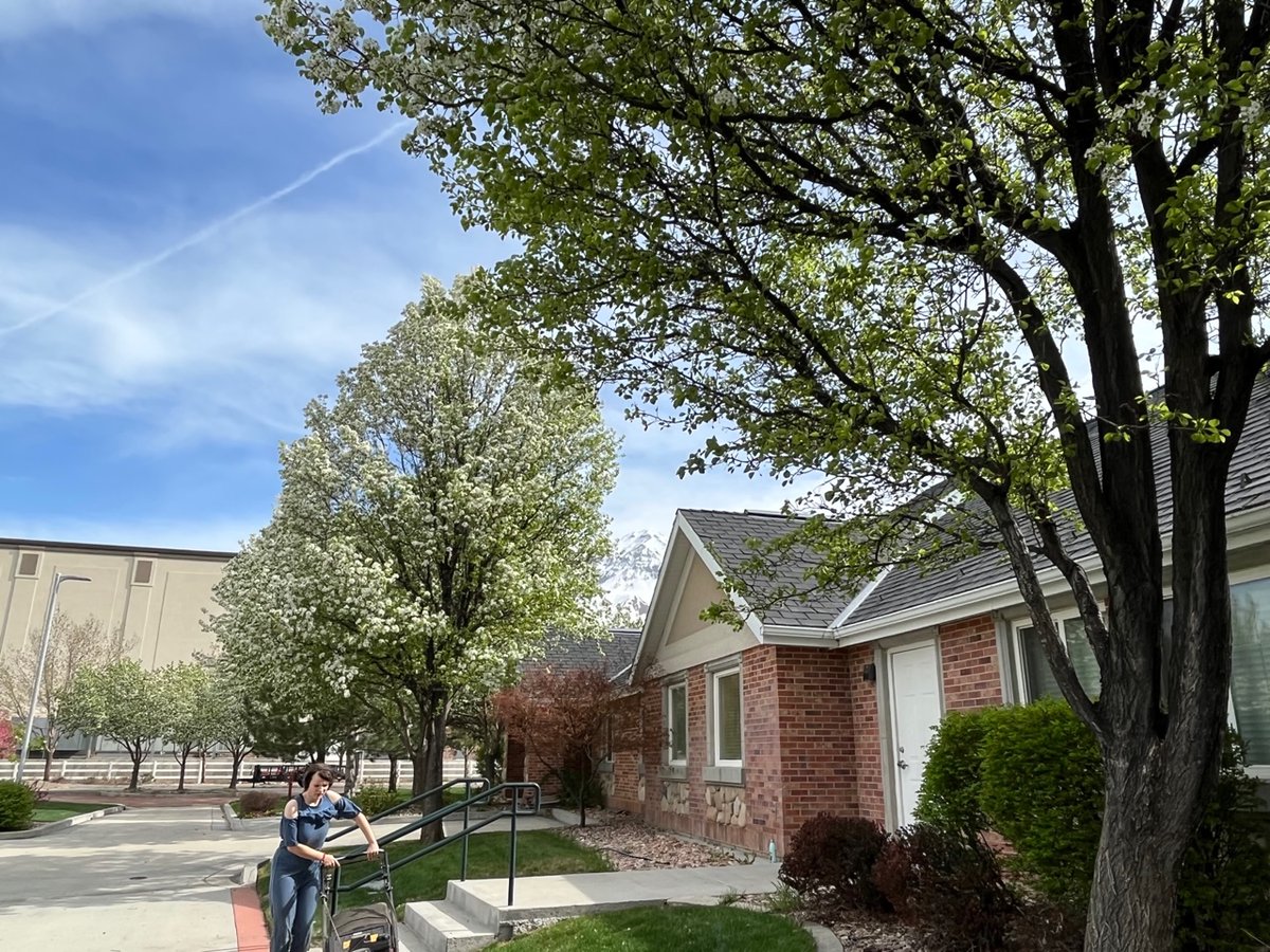 SVA4Autism's tweet photo. Hope you don't have allergies because #SpringHasSprung at ScenicView! The blossoms are out, the garden is planted, and things are looking ship shape. If you look closely, you can also see our grounds crew students hard at work. #JoyInTheJourney https://t.co/AfiTKVVntJ