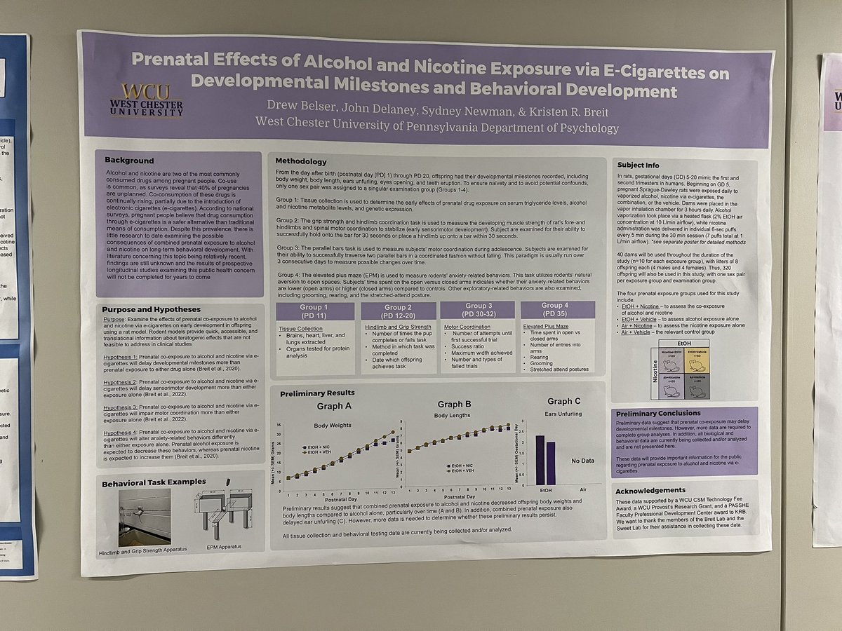 The Breit Lab 🧠✨ tweet media