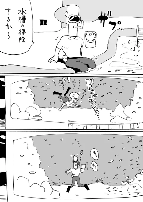 さめ 