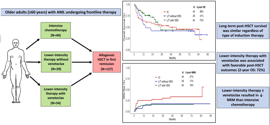 In older pts with #AML, low-intensity therapy + ven followed by SCT 2-year OS of 72% and lower NRM than intensive chemo. LIT + ven induction is good option even for SCT-eligible pts.
<a href="/NicholasShortMD/">Nicholas Short MD</a>  <a href="/MDAndersonNews/">MD Anderson Cancer Center</a> #Leukemia
doi.org/10.1182/blooda…
#leusm