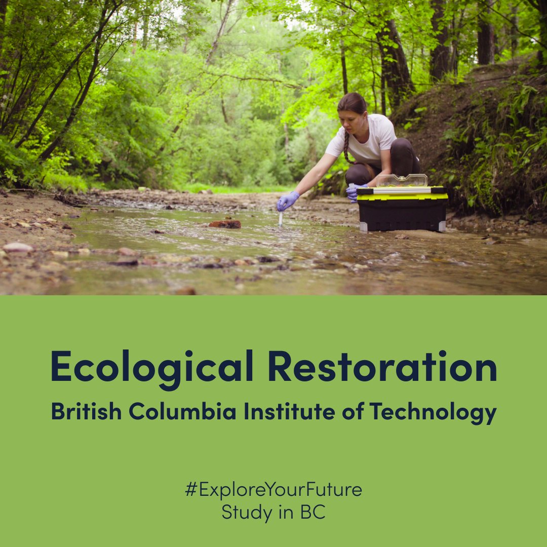 StudyinBC's tweet image. 🌿 Restore our planet with BCIT's Ecological Restoration program. Learn science-based methods to repair damaged ecosystems. #EcoWarrior #StudyInBC #ExploreYourFuture