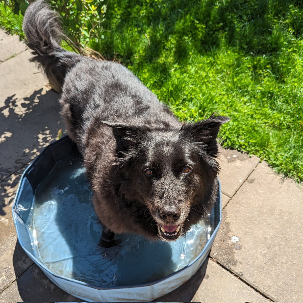 Sunshine Bear wishes you well (in hell)