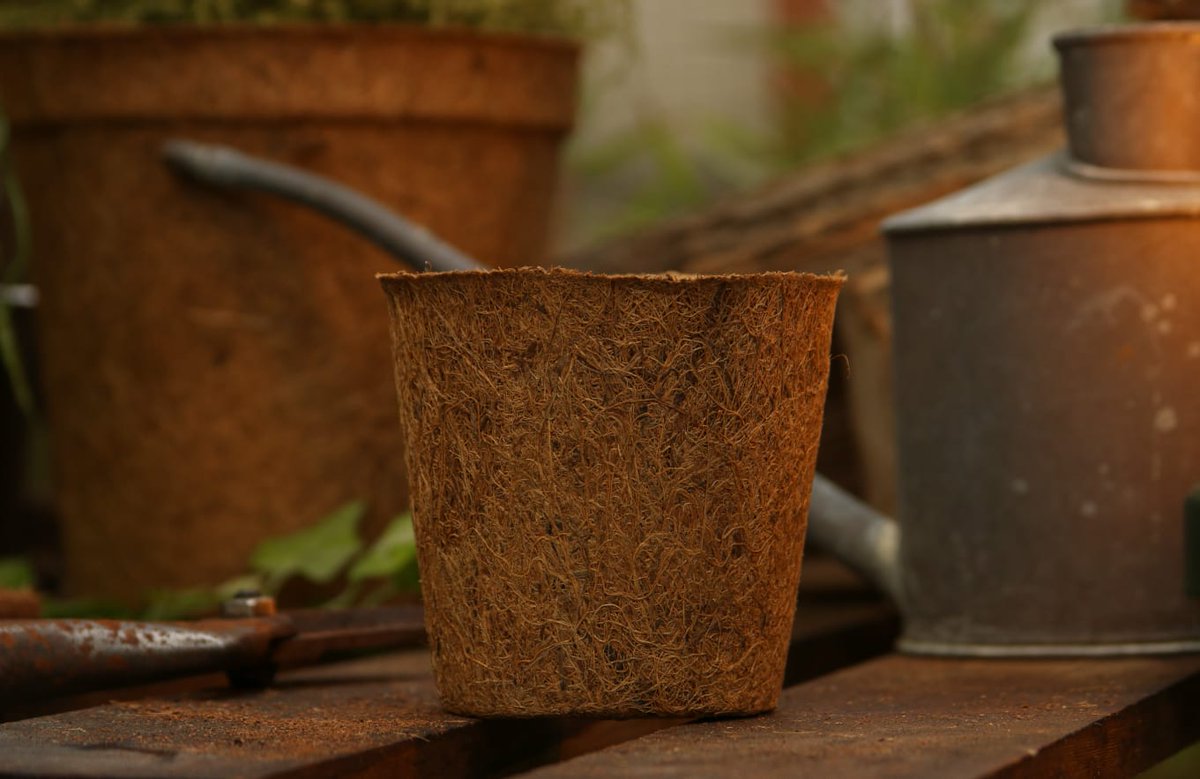 #PRODUCTOFTHEMONTH

This month's star product is our #CoirPots, coming in varieties of sizes to fit all kinds of crops! 

Made out of natural #coir, our CoirProducts.do.uk is the perfect alternative to plastic pots! 
coirproducts.co.uk 
#coirproducts #noplastics