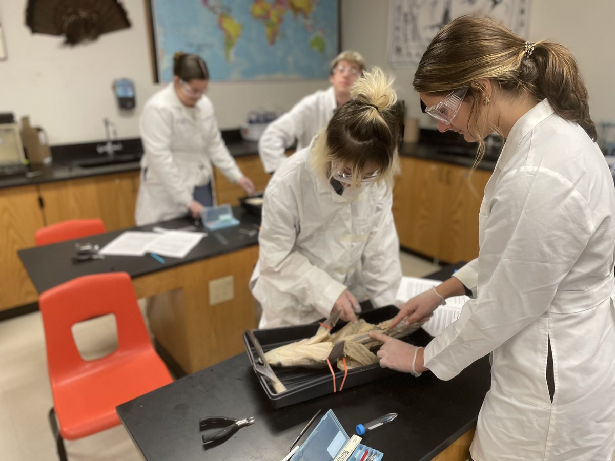 WCDS_Science's tweet photo. Watch out for the sharks in Mr. Stern’s Honors Biology class! Students were working on their shark dissection in the lab today. #WCDSScience #WCDSUpperSchool #WCDSBiology https://t.co/9WOv7jn5QV