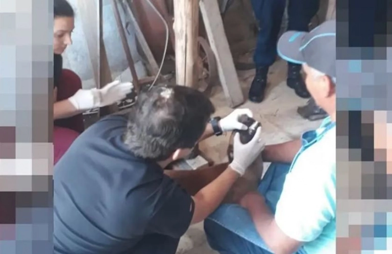 mauroszeta's tweet photo. 🚨UN ALBAÑIL FUE DETENIDO POR ABUSAR SEXUALMENTE DE TRES PERRAS
-Ocurrió en Salta. 
-El hombre apresado estaba trabajando en una casa y aprovechó la ausencia de la familia para atacar a las mascotas.

📲https://t.co/QbIZZ8SanR https://t.co/yEQ28tH50u