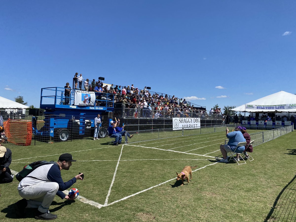ELMO_USA's tweet photo. We were off to the races this weekend giving away ELMO document cameras to The Teacher Reuse in Buda, TX at the annual Buda Wiener Dog Races. Congratulations to the lucky and deserving winners, that's teachers and furry friends!   #ELMOExperience #theteacherreuse https://t.co/SCai1rDpO4