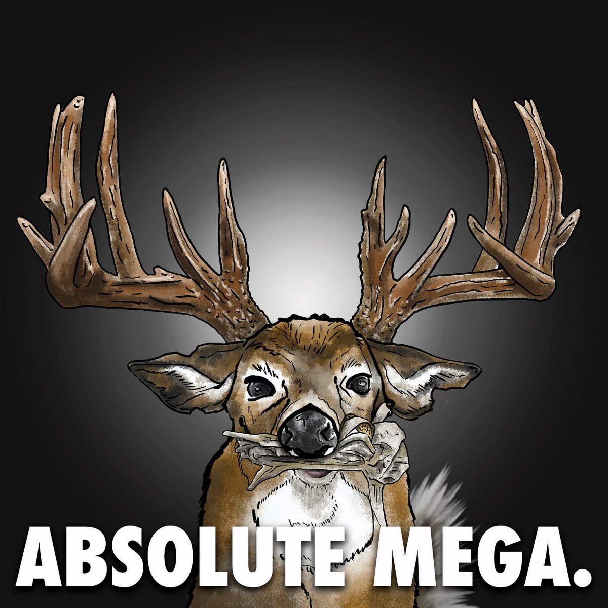 Whitetail Wall Hangers Club tweet media