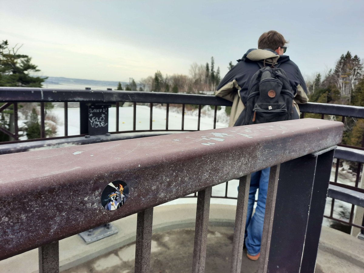 Amber Bear tweet media