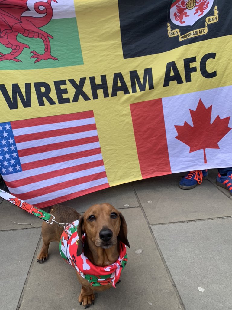 Up the woofing town #wrexhamfc #wxmfc