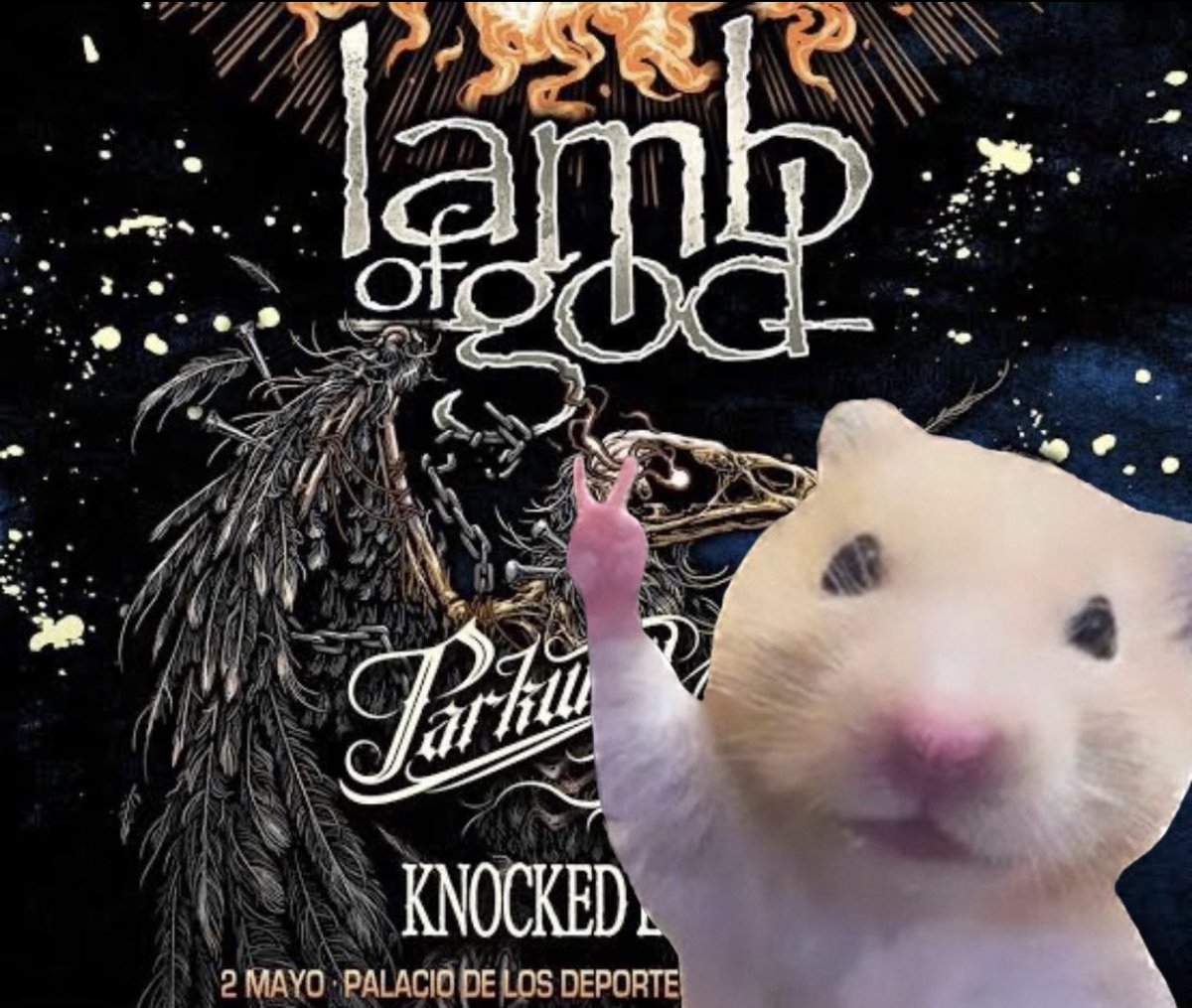 RealAntonioHdz's tweet photo. Quiero ir a Lamb Of God con @tickethamstermx 🐹🤘🏼

#lambofgodcontickethamster 🔥 https://t.co/HDgPORsHO6