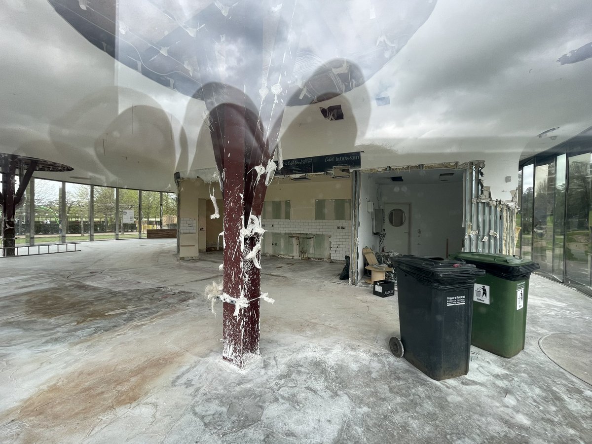 ReigateRabbit tweet media