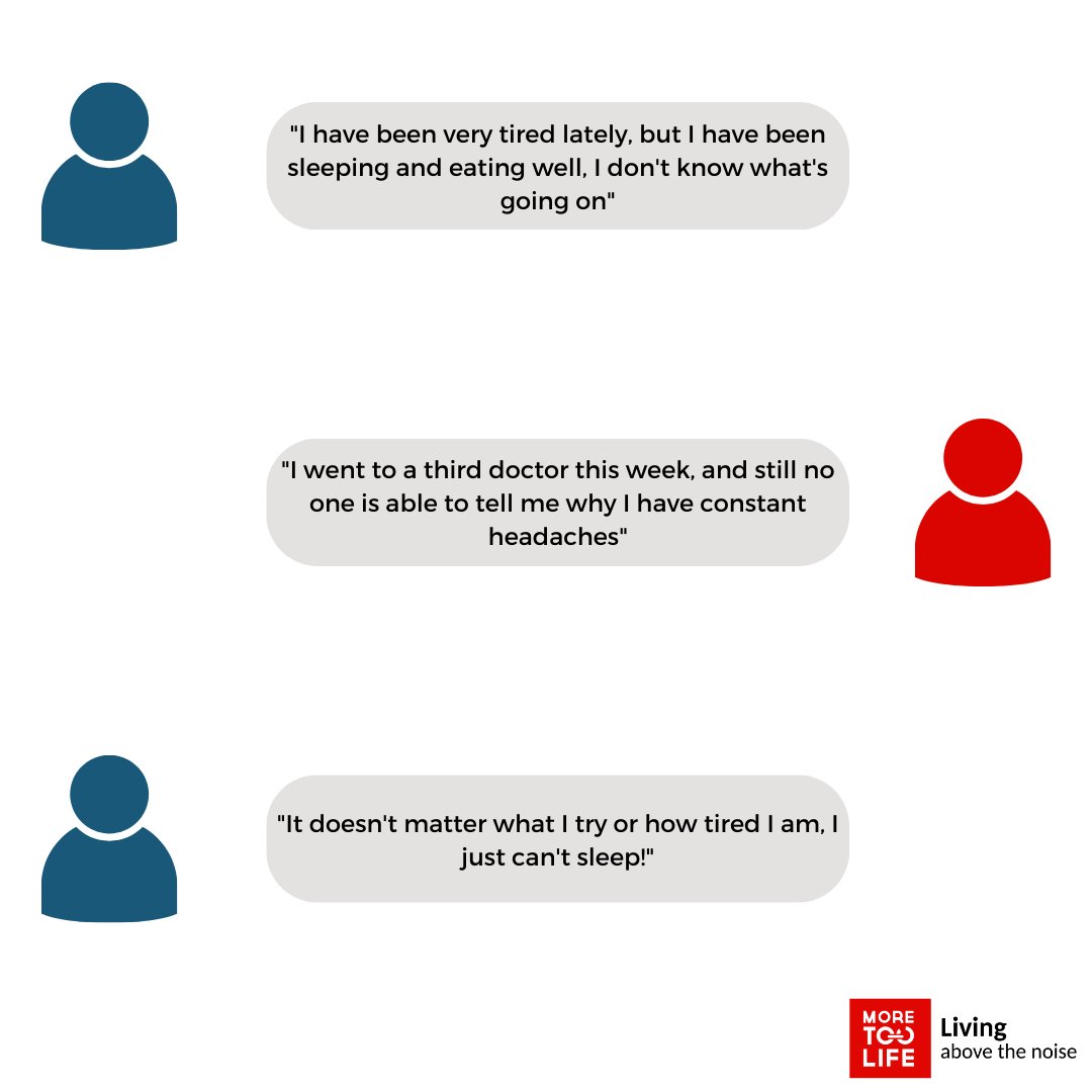 @realmoretoolife tweet media