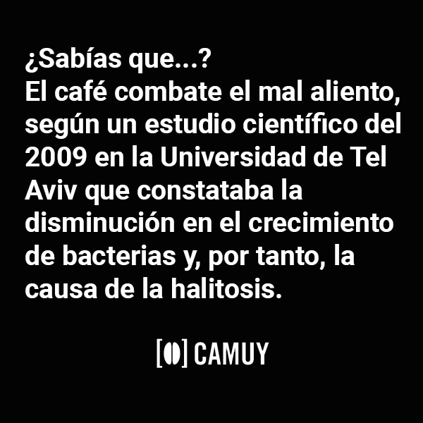 Cafés Camuy (@cafescamuy) on Twitter photo 