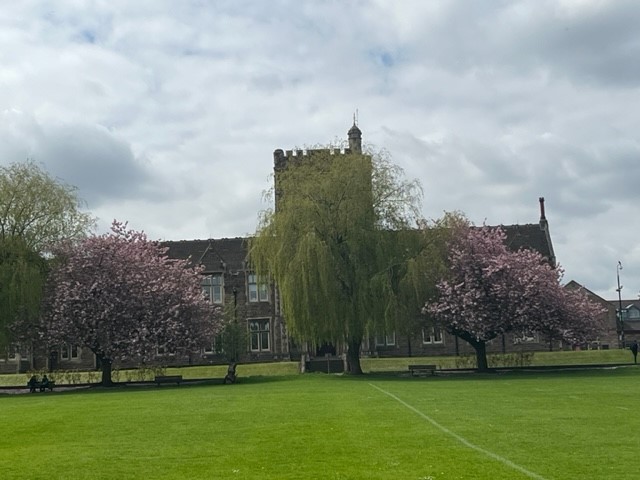 RHCC_Charity's tweet photo. We've had a meeting in the most beautiful location today thanks to Rachel &amp; Tom @ThomRothCol We have some grand plans to work together in future! #NHScharity #Rotherhamiswonderful #fundraising #NHSBigTea https://t.co/gFTxwapK05