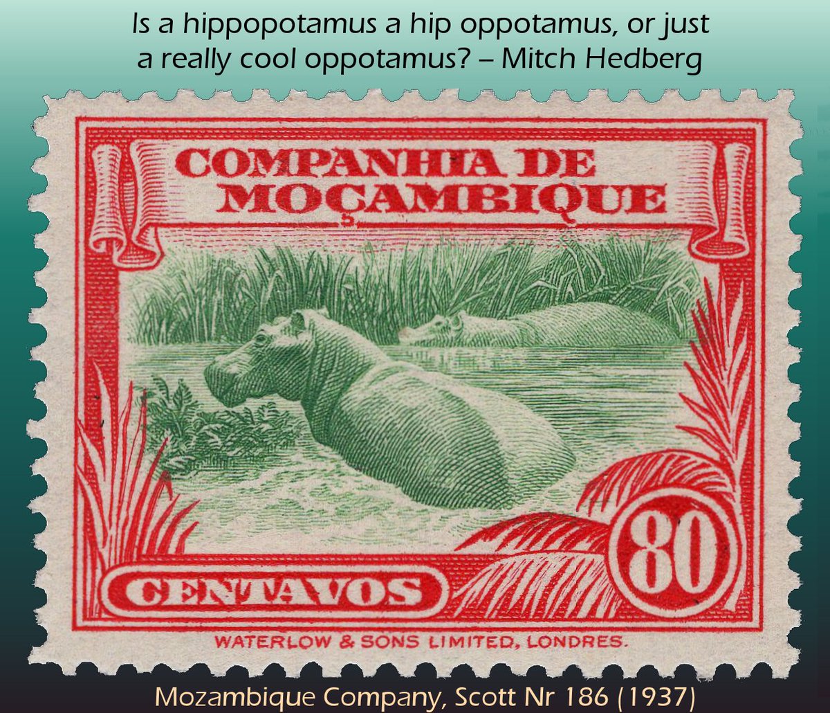 #philately #MitchHedberg #hippopotamus
Mozambique Company, Scott Nr 186 (1937)