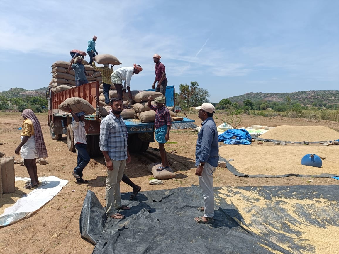 AODhanwada's tweet photo. వరికొనుగోలుకేంద్రాల నిరంతర పరిశీలన -ధన్వాడ మండలం నారాయణపేట జిల్లా.@SRReddyTRS @SingireddyBRS https://t.co/y1AJaZzmSe