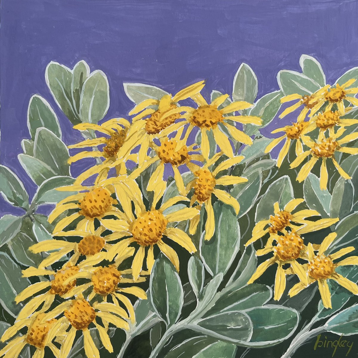 Frank Bingley tweet media