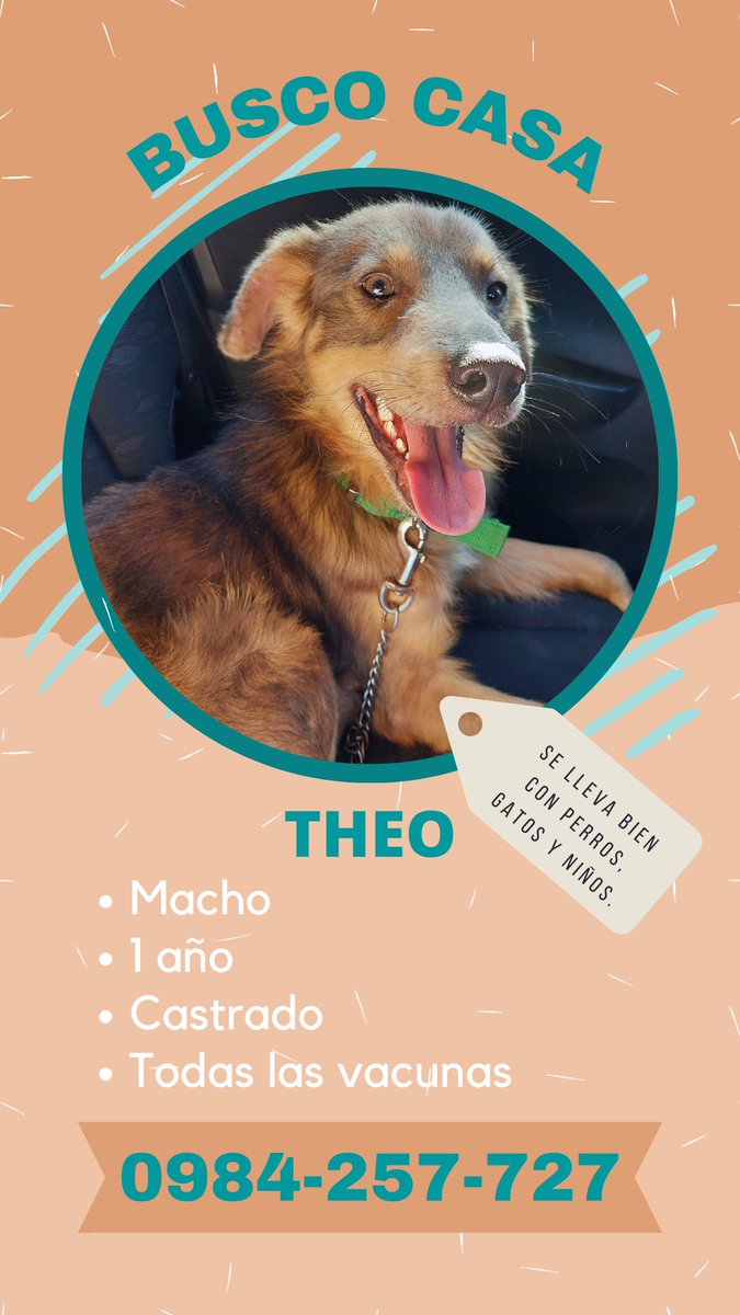 Hasta ahora ni una sola persona preguntó siquiera por Theito🥺