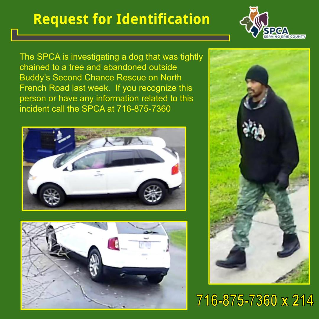 amherstpoliceny's tweet photo. [AMHERST POLICE, NY] -- The SPCA is investigating a dog that was chained to a tree and abandoned outside Buddy’s Second Chance Rescue on N French Rd last week.  If you recognize this person or have info related to this incident call SPCA 716-875-7360 x 214 #AmherstAnimalControl https://t.co/7q87kyeo6s