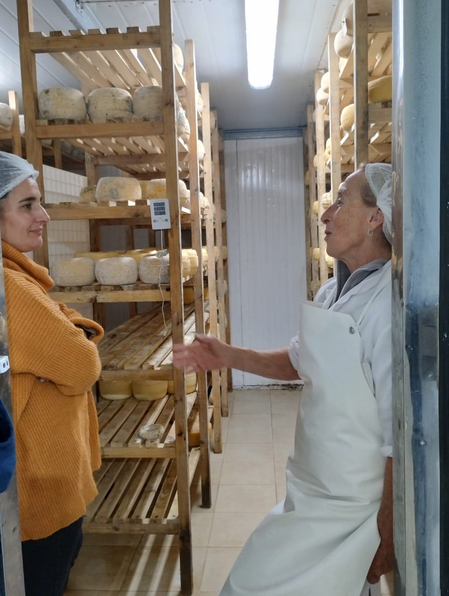 metchecoin's tweet photo. Hoy visité a Rosario y Consuelo que llevan adelante el emprendimiento familiar "El Abascay" en Brandsen.
Elaboran productos lácteos artesanales con leche del tambo, quesos, dulce de leche, miel y huevos. Todo bajo una producción orgánica 🌱🧵 https://t.co/E06kYgL9YA