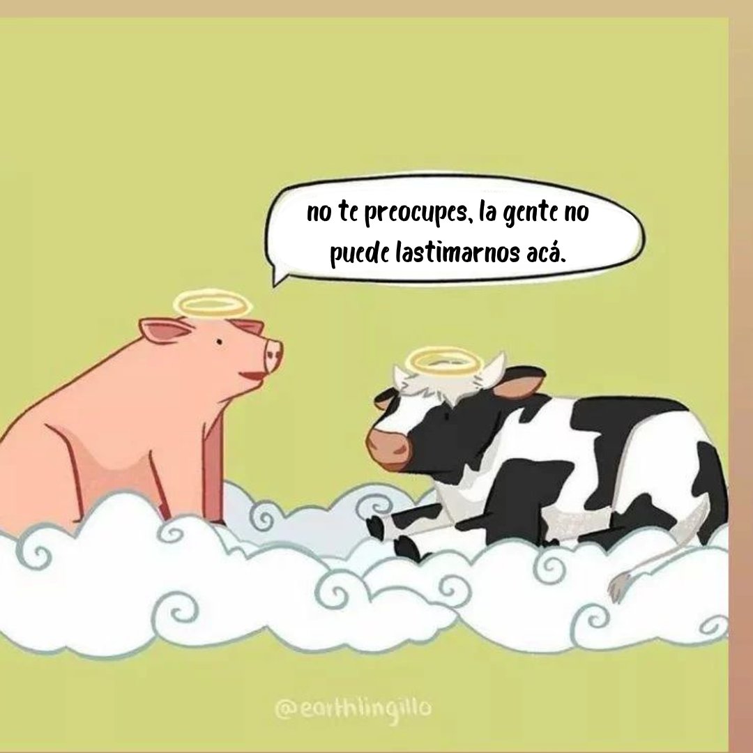 Hemos hecho de la tierra un infierno para los animales 💔

Por favor, aporta a un mundo más pacífico. Hazte vegan 🌱

📸 earthlingillo

#veganfta #arteanimal #antiespecismo #vaquita #cerdito #culturadepaz #veganismoporamor #veganart