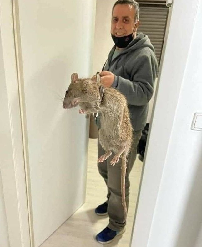 mi mamá sacándome del cuarto para mostrale a la visita cuanto he crecido