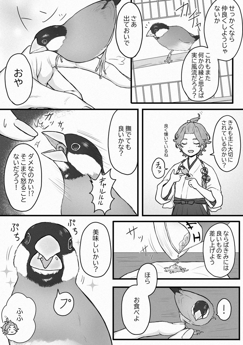 弊本丸の歌仙にうちの文鳥と遊んでもらった話
⚠︎︎盛大な夢ツイ‼️ 