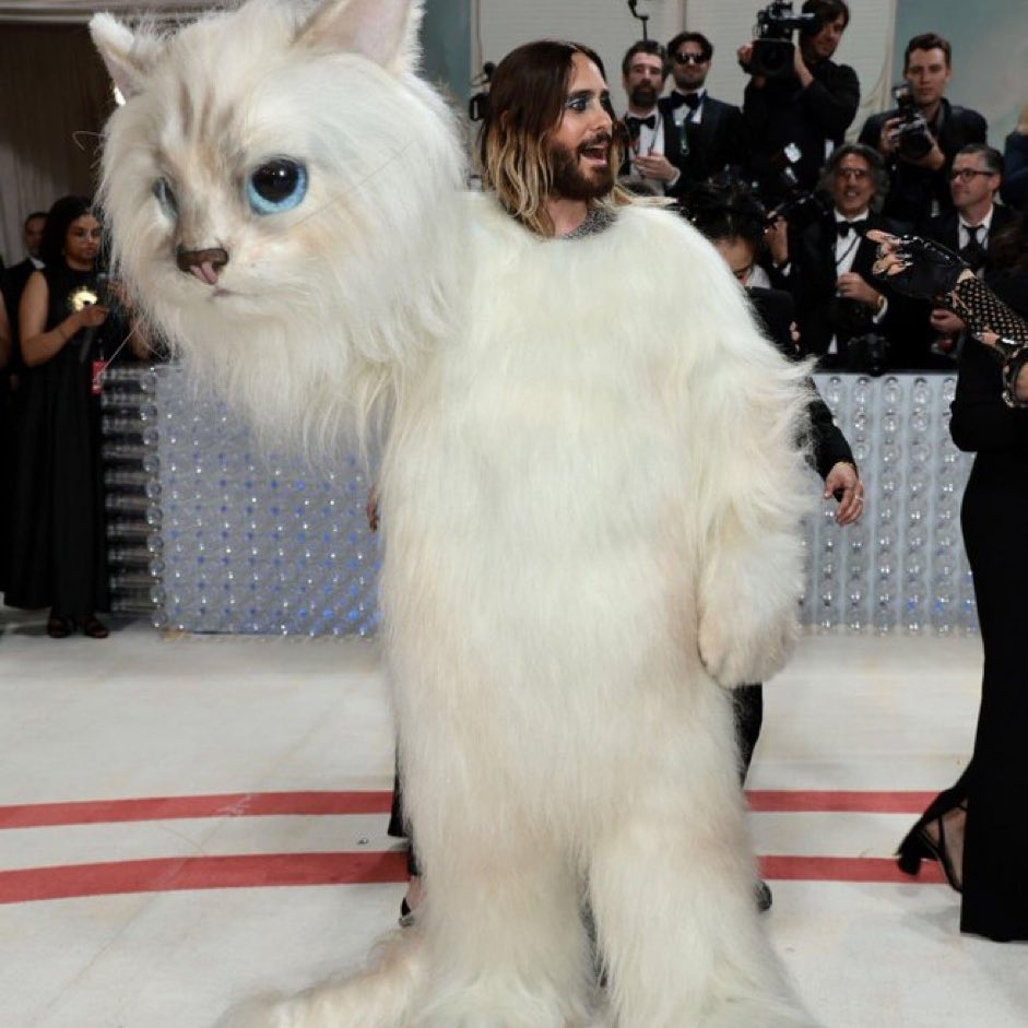 cidpll_'s tweet photo. Gli altri: indossano abiti dall’archivio di Karl, abiti ispirati ai suoi e abiti dedicati a lui. JARED LETO: SI VESTE DA CHOUPETTE, IL GATTO DI KARL LAGERFELD 🤣 #MetGala https://t.co/QNZAmy2wd5