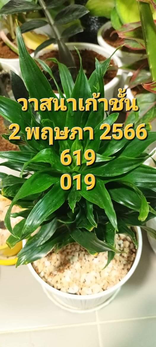 ckfr13's tweet photo. รับแนวทางงวด 16/5/66

👇ตามต่อคลิ้กเพิ่มเพื่อนมารับเลขฟรี>>>https://t.co/NEgN7OT49b

#หวยงวดนี้ #หวยรัฐบาลไทย #หวยรัฐบาล #หวย #หวยไทย https://t.co/0SngEwcpg6