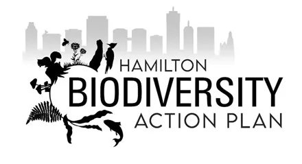 HamiltonNature's tweet photo. We're excited that the draft Biodiversity Action Plan is going to Planning Committee this morning to be approved for public consultation! 🤞 Stay tuned for info on how to get engaged once consultation is open. #HamOntBAP Live stream: https://t.co/K4tUJwfftZ https://t.co/FVaa5a6m9Z