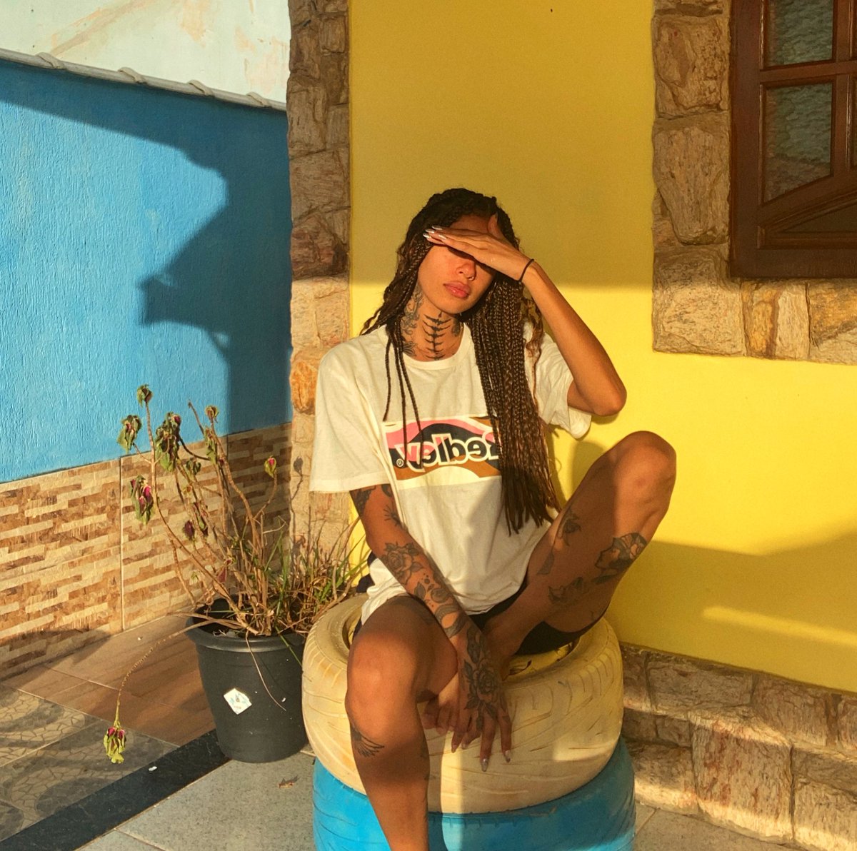 talita persi tweet media