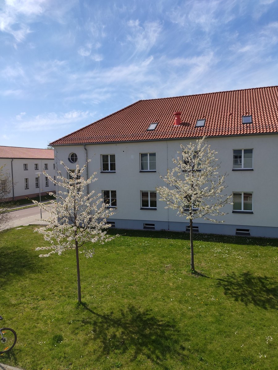deni95_'s tweet photo. After three years, today is my first working day outside @EtnThread. I am not an ESR anymore, but my office view at @UniHalle will remain the same for some time!!
I am grateful for the opportunities THREAD offered me and I can't wait to see how my career will proceed. 📚🎓 https://t.co/P4ZkY600EP