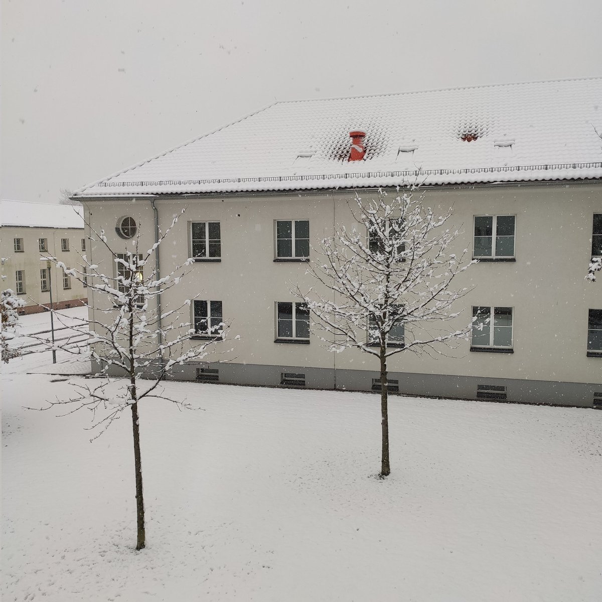 After three years, today is my first working day outside <a href="/EtnThread/">THREAD_ETN 🇪🇺</a>. I am not an ESR anymore, but my office view at <a href="/UniHalle/">Universität Halle (inaktiv)</a> will remain the same for some time!!
I am grateful for the opportunities THREAD offered me and I can't wait to see how my career will proceed. 📚🎓