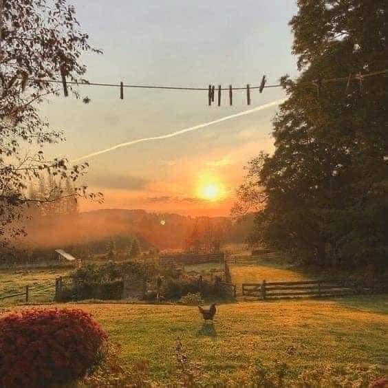 peaceful afternoons.