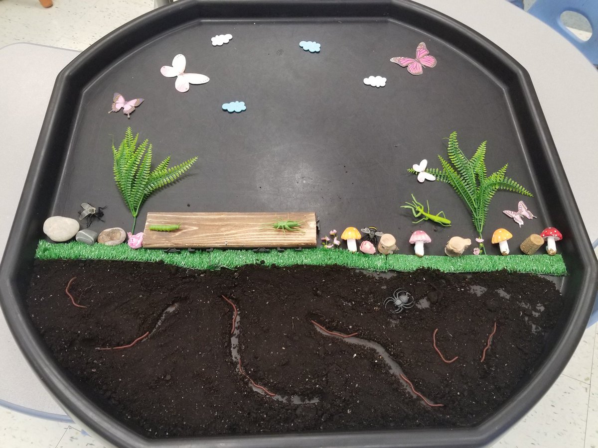 KPASEL1's tweet photo. Today, the KPA friends are investigating bugs on the tuff tray! https://t.co/WgxHhaRs9Q