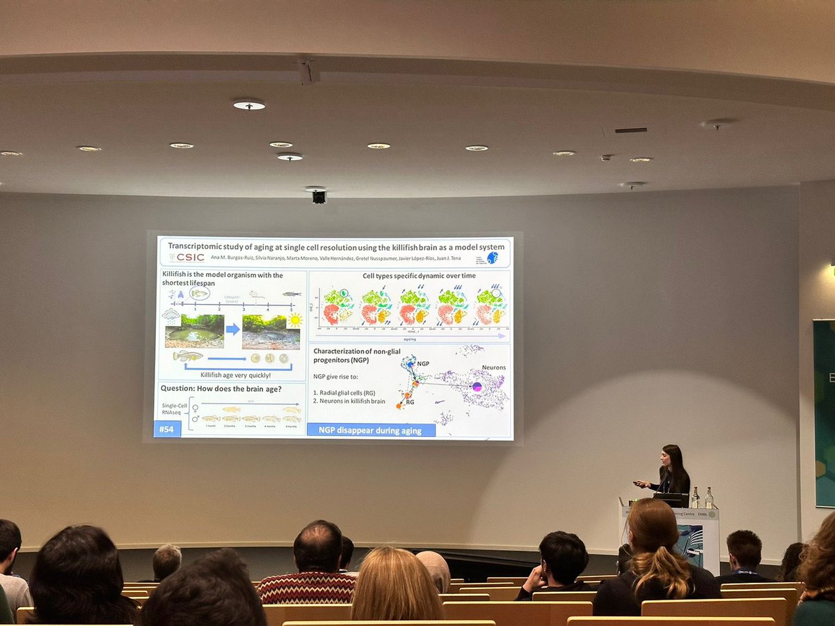 Ana Burgos Ruiz tweet media