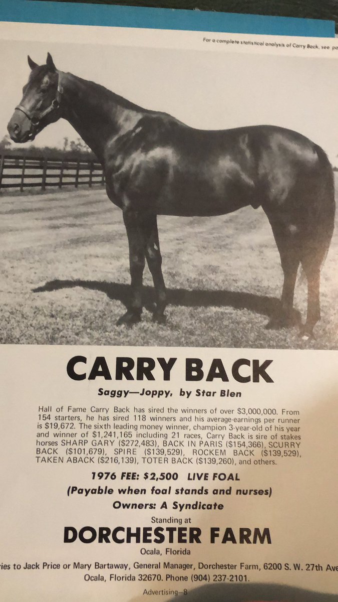 JackpotNick's tweet image. The most obscurely bred winner of a #KyDerby ever?  #CarryBack by Saggy out of Joppy🤪 Dreams do come true...