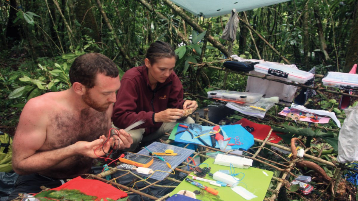 Biotech without Borders 🧬 tweet media