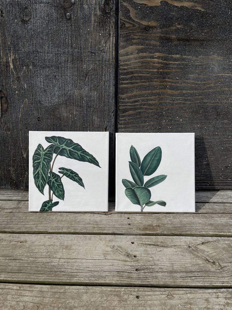 deziimay's tweet photo. It’s my 22nd birthday today! Sooo

All orders placed today will get a free framed sketch of their pet/plant of choice!! 

3 Commission spots open for:

🌿Hand cut wooden plant leaves
🌿Wooden circle pet portraits 
🌿Canvas paintings 

*Message me ASAP spots fill very fast 💗 https://t.co/C4EDBze0Tm