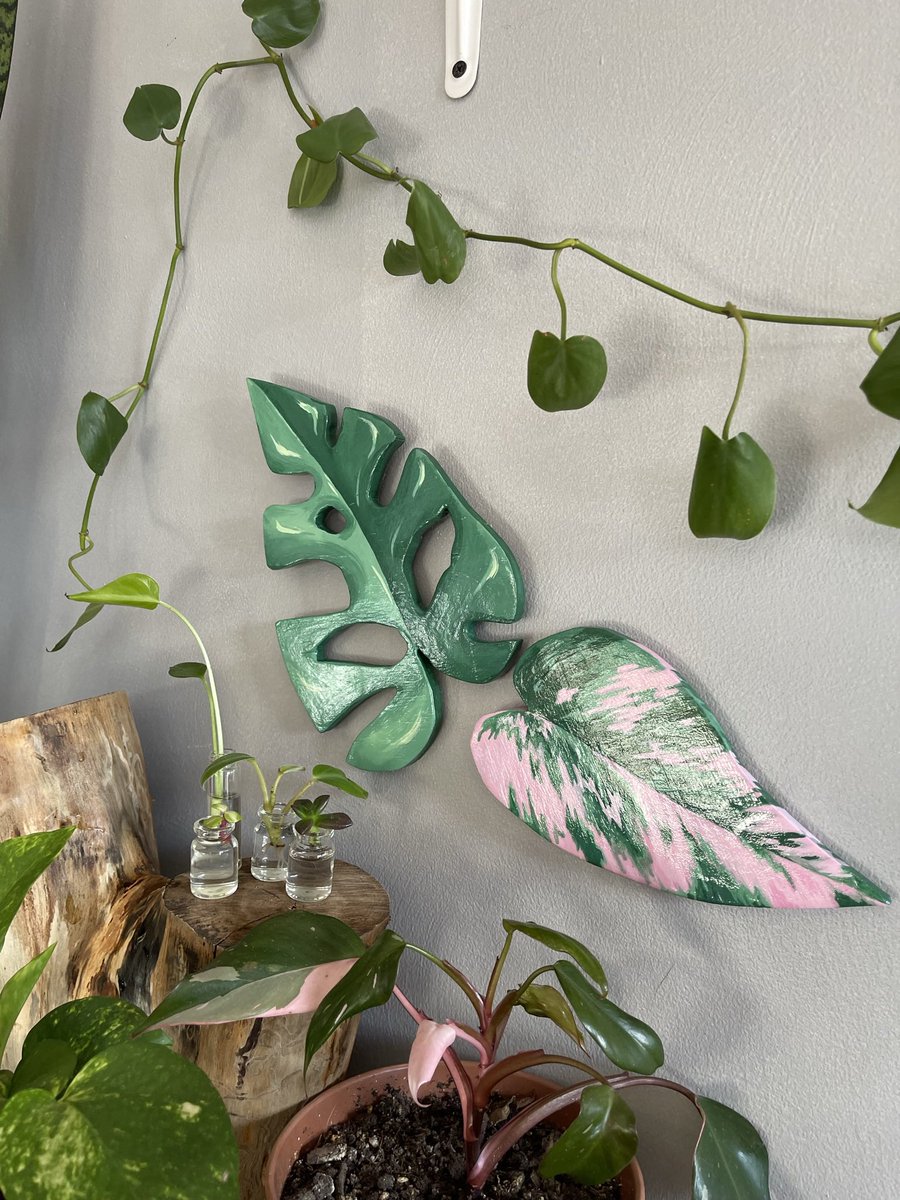deziimay's tweet photo. It’s my 22nd birthday today! Sooo

All orders placed today will get a free framed sketch of their pet/plant of choice!! 

3 Commission spots open for:

🌿Hand cut wooden plant leaves
🌿Wooden circle pet portraits 
🌿Canvas paintings 

*Message me ASAP spots fill very fast 💗 https://t.co/C4EDBze0Tm