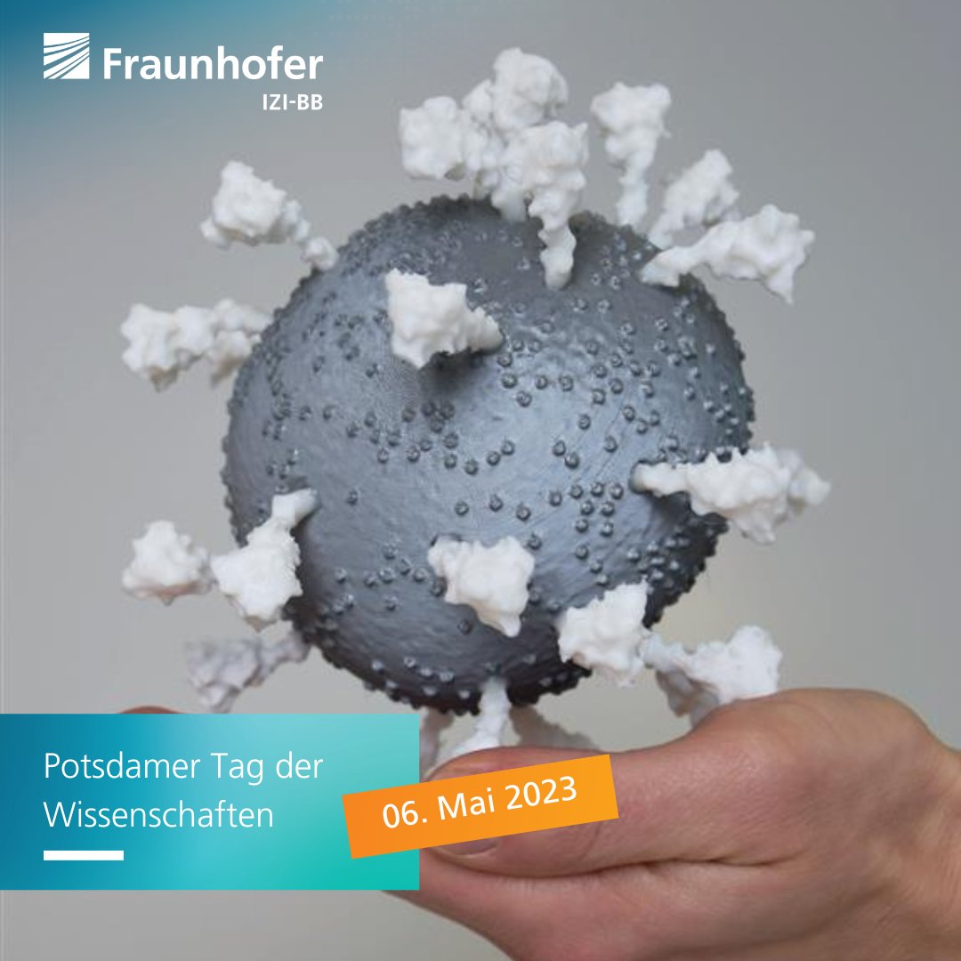 Wie finden #Viren den Weg in unseren Körper und wie können wir sie dann im Patienten wiederfinden und nachweisen? 👀
Fragen und Antworten rund um Virusinfektionen und deren #Diagnose gibt es am Potsdamer Tag der Wissenschaften bei uns am Infostand 🔬

💡s.fhg.de/3vH