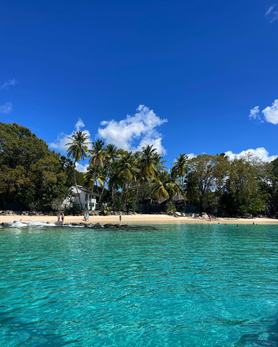 Barbados's tweet photo. Rising to a paradise in Barbados, where the morning sun paints the sky with hues of gold and the view takes our breath away.💛🏝
📷@samantascar, thanks for sharing!
#MyBarbados #LoveBarbados #VisitBarbados #MadeInBarbados https://t.co/zI6eEwyxVB